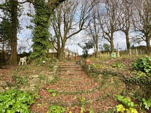 Photo 24- click for photo gallery